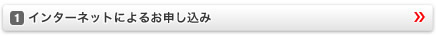�C���^�[�l�b�g�ɂ�邨�\������